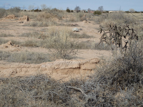 The Old Kuaua Pueblo Site.