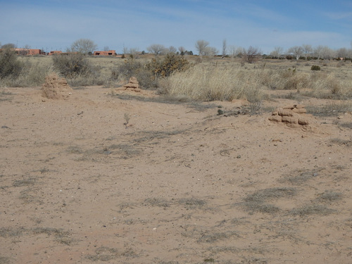 The Old Kuaua Pueblo Site.