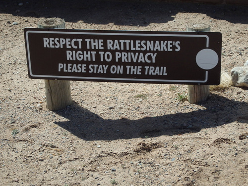 The Old Kuaua Pueblo Site.