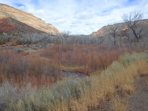 Along the Way Through the Jemez Pueblo Reservation.