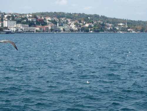 Istanbul.