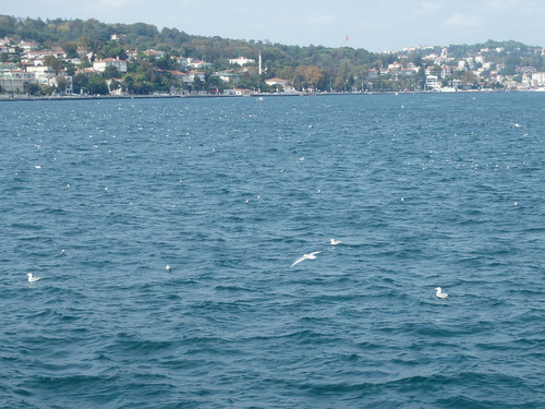 Istanbul.