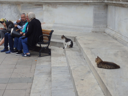 Istanbul.