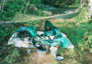 Space Blanket used as a Dining Fly.