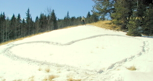 Snow Shoe Tracks, Colorado